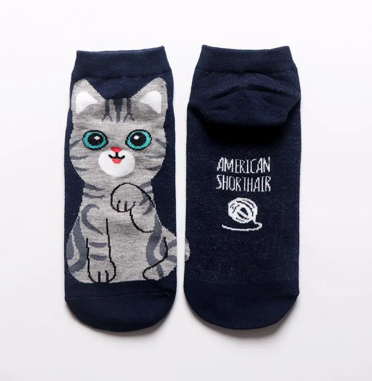 Kawaii Cute Ankle Socks - American Shorthair