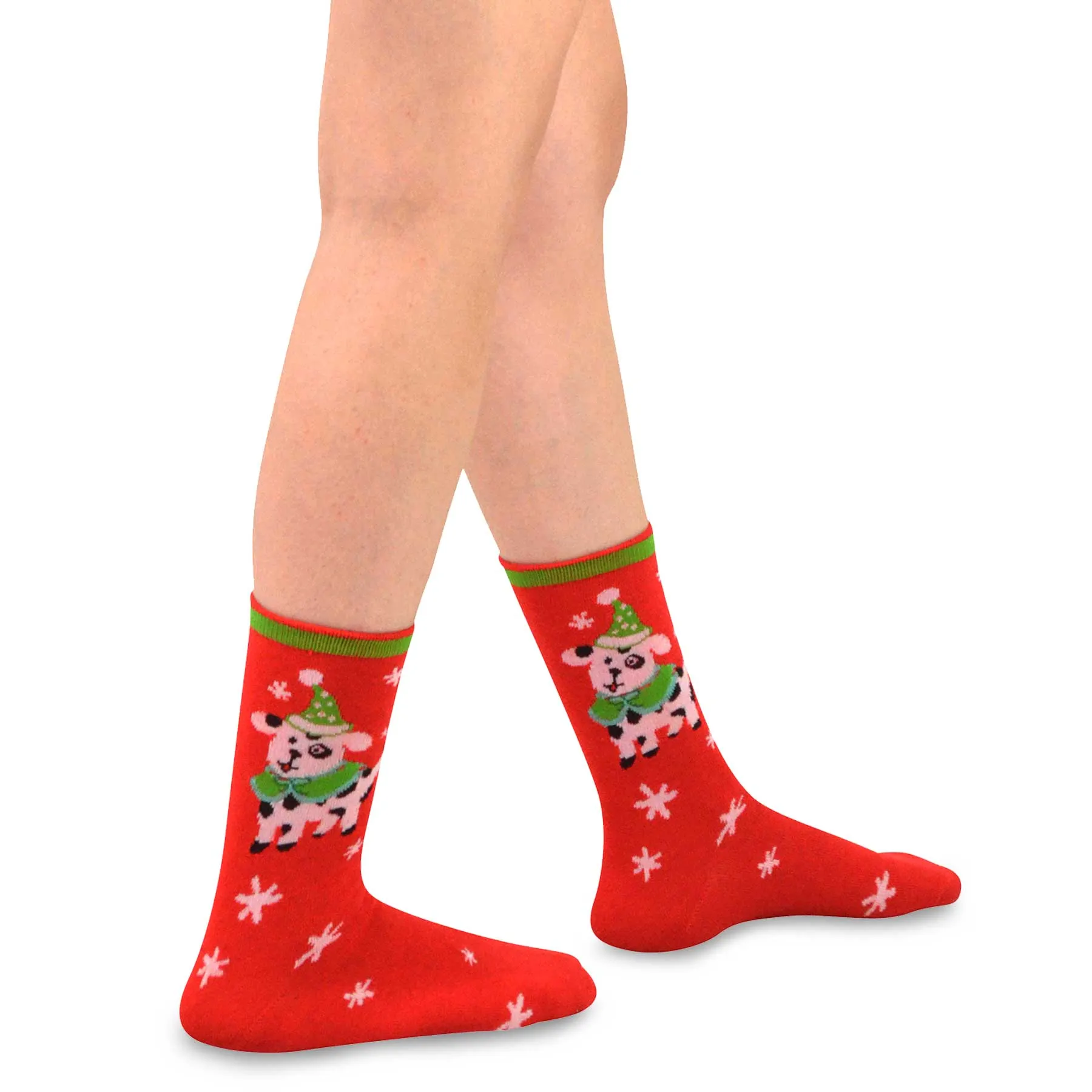 TeeHee Socks Women's Christmas Crew Assorted 12-Pack Gift Box C (11970)