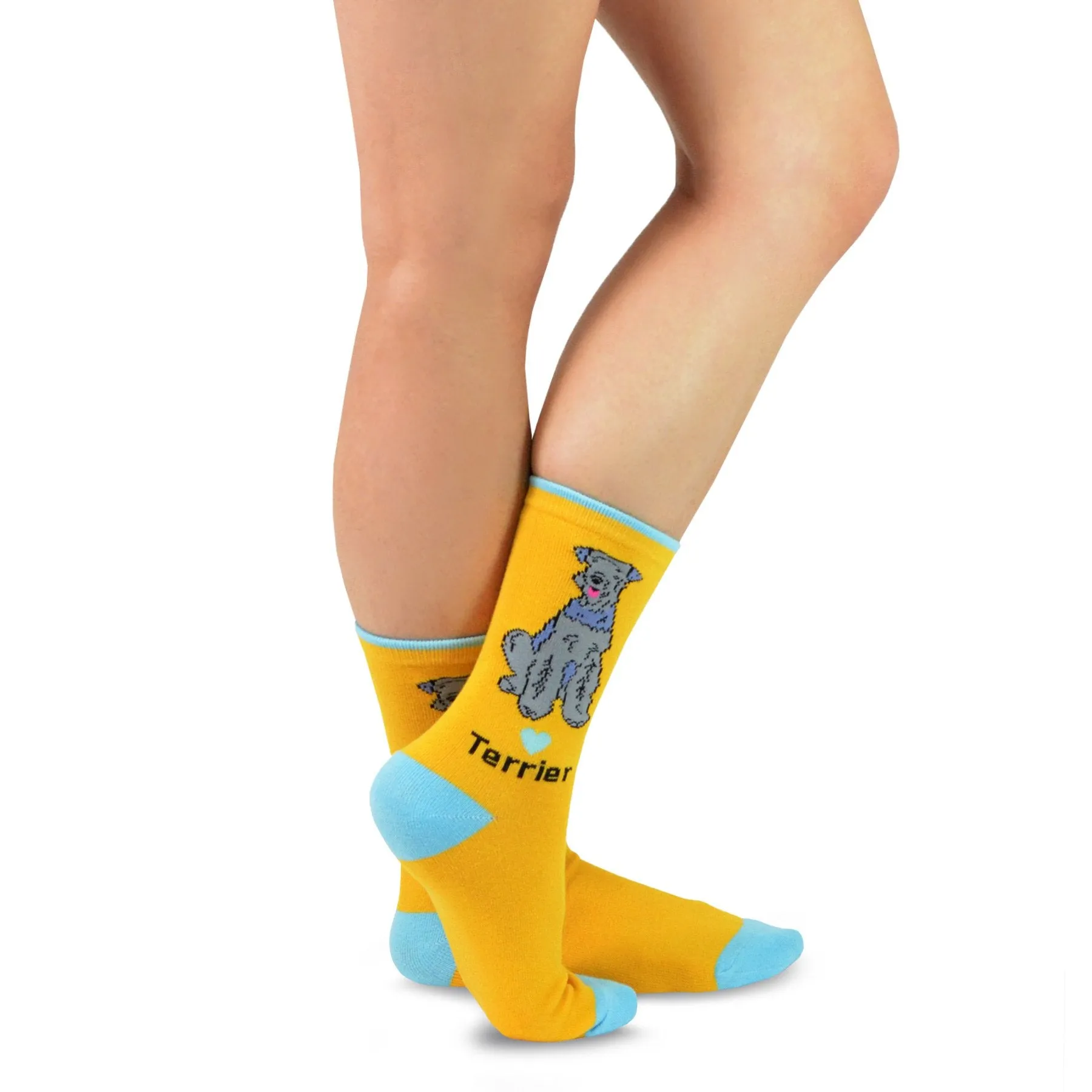 TeeHee Socks Women's Novelty Cotton Crew Terrier (W1416)