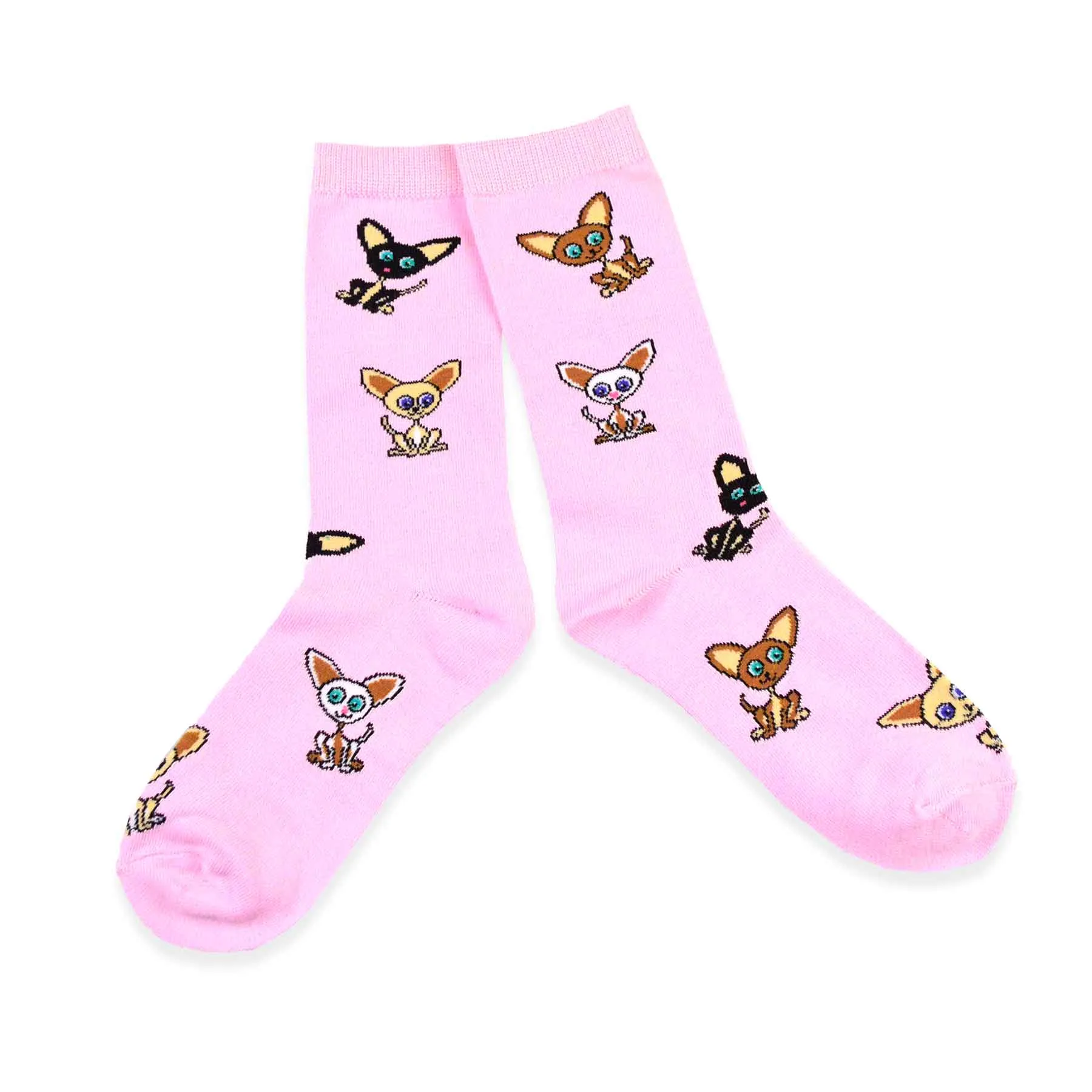 TeeHee Socks Women's Novelty Cotton Crew Tossed Chihuahua 3-Pack (11134)